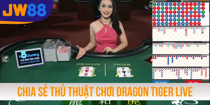 Chia sẻ thủ thuật chơi Dragon Tiger live thắng lớn